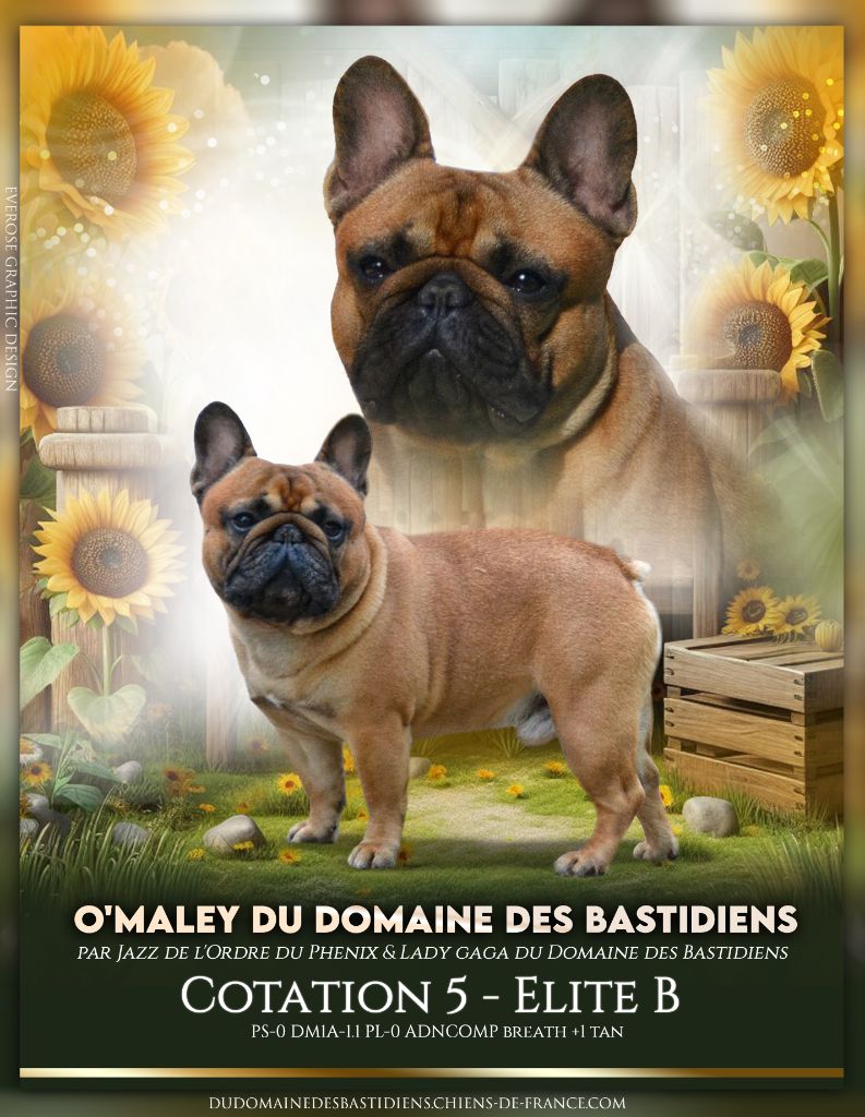 O'maley du Domaine des Bastidiens