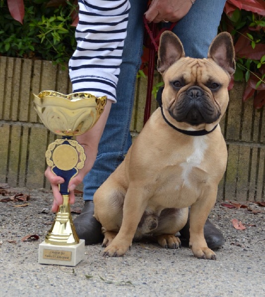 Inky du Domaine des Bastidiens