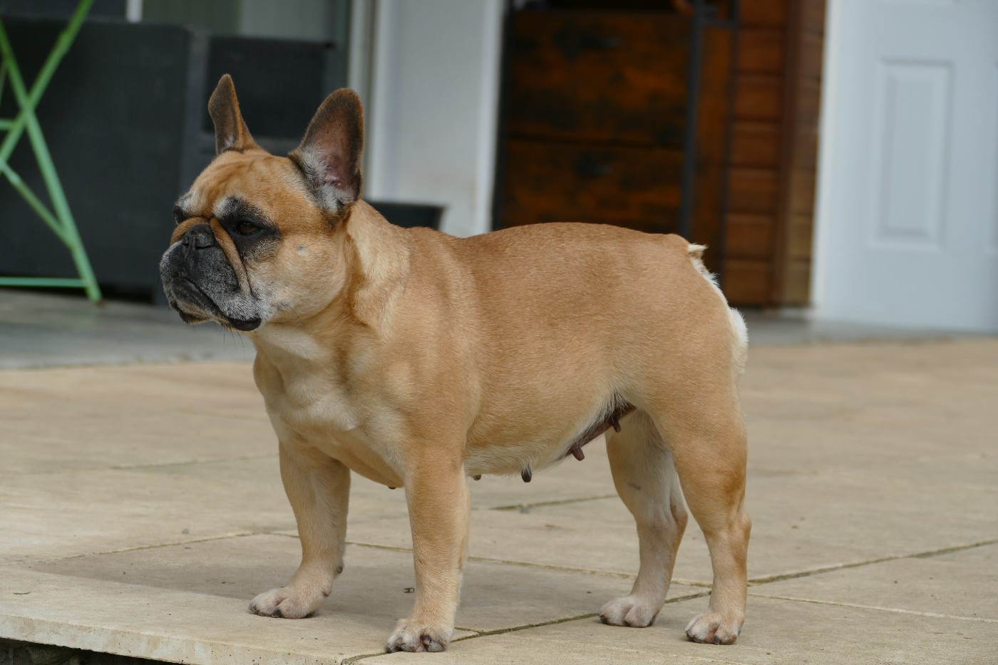 Roumba du Domaine des Bastidiens