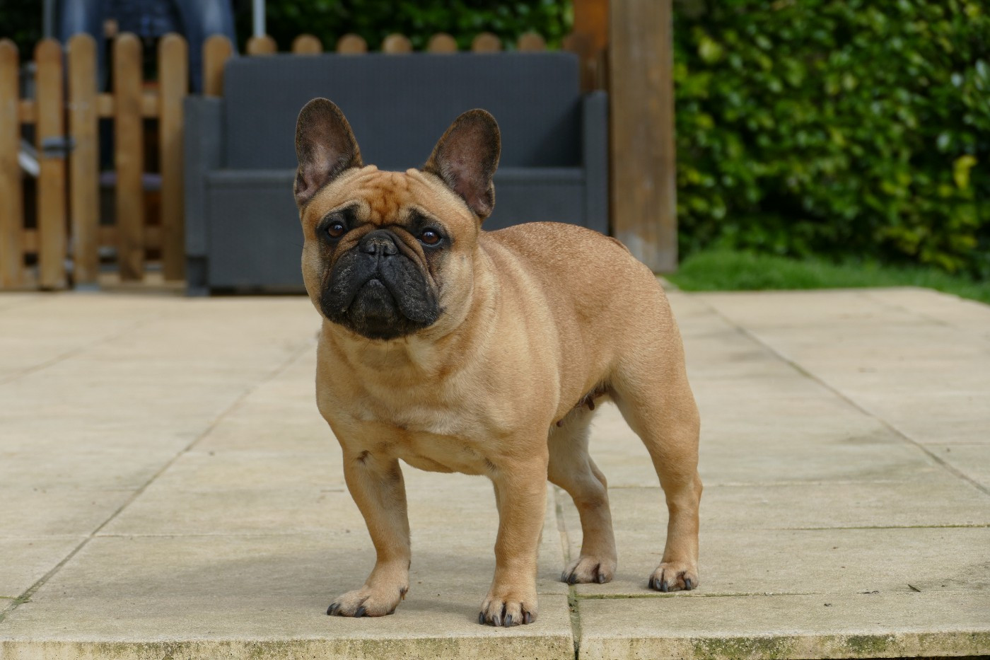 Sephora du Domaine des Bastidiens