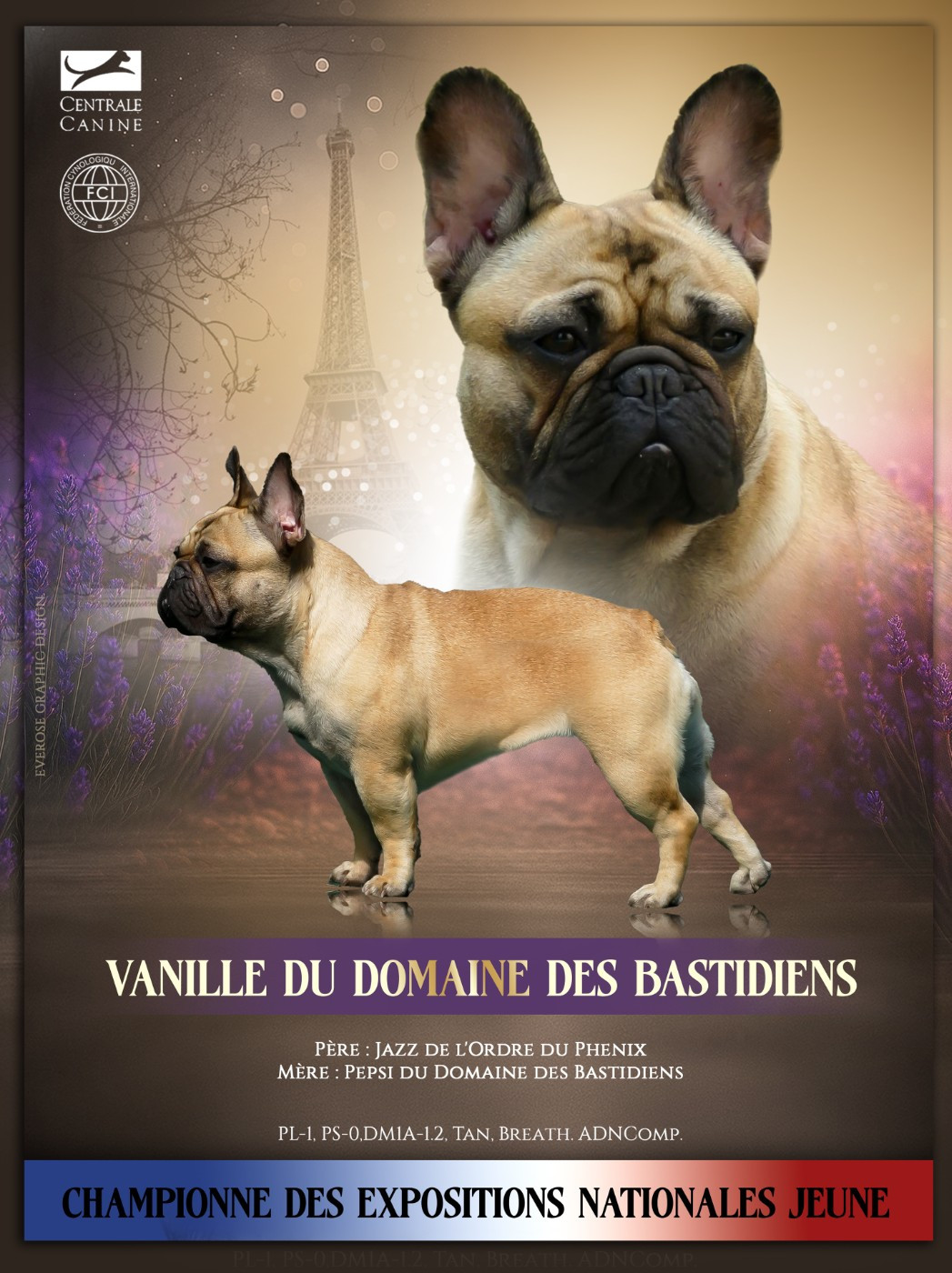 CH. Vanille du Domaine des Bastidiens